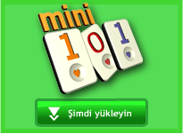 mini 101